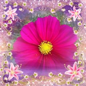 Meet your Posher, Hang